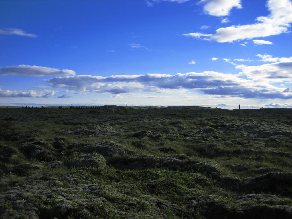 Icelandic Cottages Hraunmork Kültér fotó